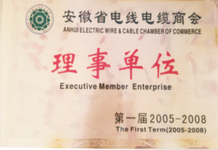 2005年1月成为安徽省电线电缆商会 届“理事单位”