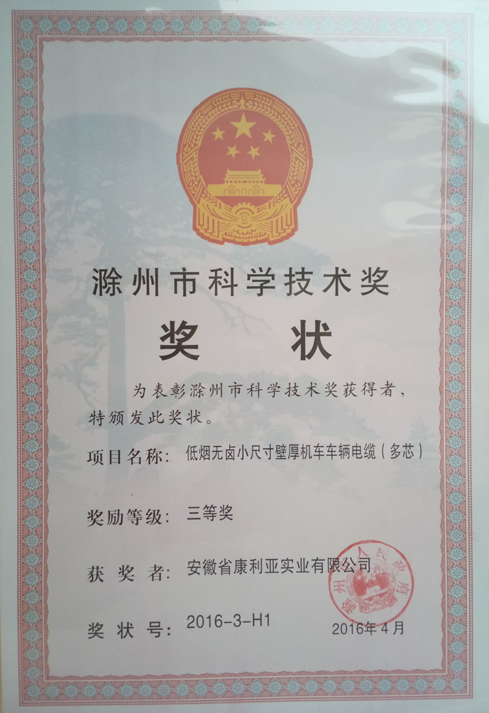 市科学技术奖